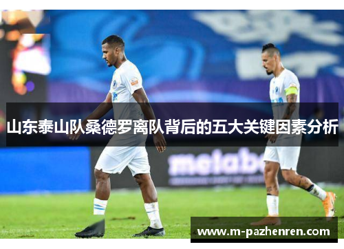 山东泰山队桑德罗离队背后的五大关键因素分析 山东泰山队桑德罗离队背后的五大关键因素分析