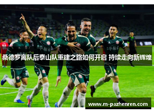 桑德罗离队后泰山队重建之路如何开启 持续走向新辉煌