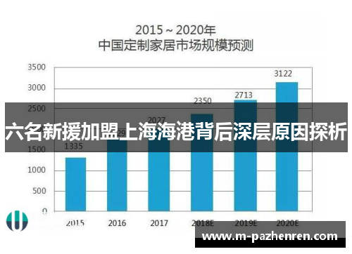 六名新援加盟上海海港背后深层原因探析