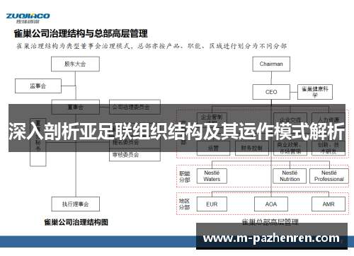 深入剖析亚足联组织结构及其运作模式解析