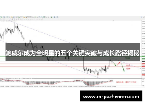 鲍威尔成为全明星的五个关键突破与成长路径揭秘