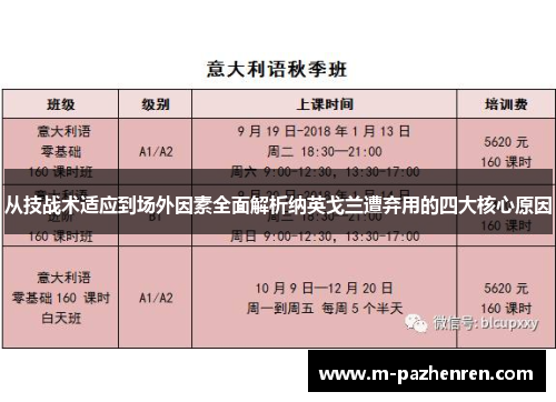 从技战术适应到场外因素全面解析纳英戈兰遭弃用的四大核心原因 从技战术适应到场外因素全面解析纳英戈兰遭弃用的四大核心原因