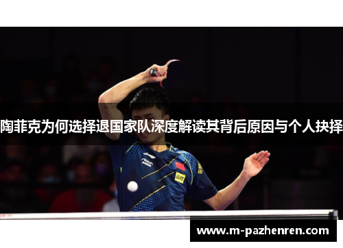 陶菲克为何选择退国家队深度解读其背后原因与个人抉择