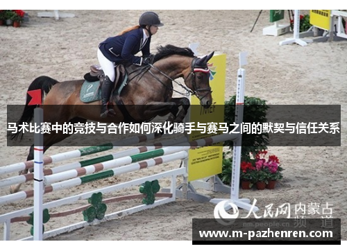 马术比赛中的竞技与合作如何深化骑手与赛马之间的默契与信任关系