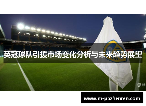 英冠球队引援市场变化分析与未来趋势展望