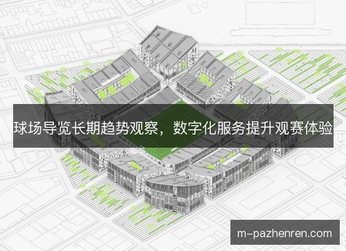 球场导览长期趋势观察，数字化服务提升观赛体验